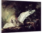 A Water Spaniel Attacking a Swan on its Nest, 1740 by Jacques Charles Oudry