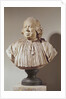 Portrait Bust of Canon Alexandre-Gui Pingre by Jean-Jacques Caffieri
