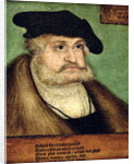Portrait of Friedrich III Elector of Saxony, 1532 by Lucas the Elder Cranach