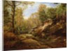 Pines and Birch Trees or, The Forest of Fontainebleau, c.1855-57 by Henri Joseph Constant Dutilleux