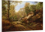 Pines and Birch Trees or, The Forest of Fontainebleau, c.1855-57 by Henri Joseph Constant Dutilleux