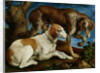 Two Hunting Dogs Tied to a Tree Stump, c.1548-50 by Jacopo Bassano