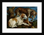 Two Hunting Dogs Tied to a Tree Stump, c.1548-50 by Jacopo Bassano