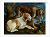 Two Hunting Dogs Tied to a Tree Stump, c.1548-50 by Jacopo Bassano