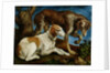Two Hunting Dogs Tied to a Tree Stump, c.1548-50 by Jacopo Bassano