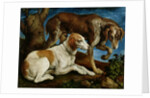 Two Hunting Dogs Tied to a Tree Stump, c.1548-50 by Jacopo Bassano