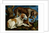 Two Hunting Dogs Tied to a Tree Stump, c.1548-50 by Jacopo Bassano