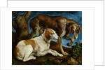 Two Hunting Dogs Tied to a Tree Stump, c.1548-50 by Jacopo Bassano