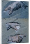 Study of the Hands of a Man by Maurice Quentin de la Tour