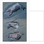 Study of the Hands of a Man by Maurice Quentin de la Tour