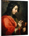 St. John the Evangelist by Italian School