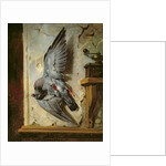 The Woodpigeon, c.1857 by Eugene Deveria