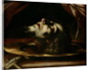 The Head of St. John the Baptist by Francesco del