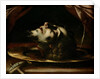 The Head of St. John the Baptist by Francesco del