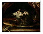 The Head of St. John the Baptist by Francesco del