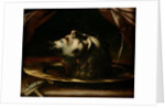 The Head of St. John the Baptist by Francesco del