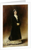 Portrait of Emanuella Pignatelli, Countess Potocka, 1880 by Leon Joseph Florentin Bonnat