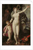Venus and Cupid by Jacques de Backer