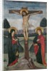 Christ on the Cross between the Virgin and St. John by Spanish School