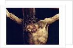 The Face of Christ by Matthias Grunewald