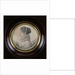 Portrait of Sophie Rostopchine Comtesse de Segur by French School