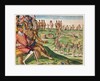 The Sacrifice of the First-Born Son by Jacques (1533-88) (after) Le Moyne