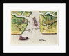 The French Discover Two Other Rivers by Jacques Le Moyne