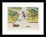 The French Discover Two Other Rivers by Jacques Le Moyne