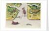 The French Discover Two Other Rivers by Jacques Le Moyne