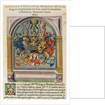 Coat of Arms by Jacques (1533-88) (after) Le Moyne