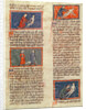 Ms H 89 fol.21v Anatomical figures by French School
