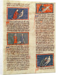 Ms H 89 fol.21v Anatomical figures by French School