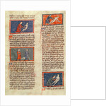 Ms H 89 fol.21v Anatomical figures by French School