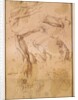 Ms H 184 fol.202 Studies of raised arms, a wild cat and a group of figures by Michelangelo Buonarroti