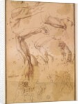 Ms H 184 fol.202 Studies of raised arms, a wild cat and a group of figures by Michelangelo Buonarroti