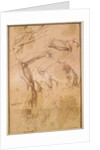 Ms H 184 fol.202 Studies of raised arms, a wild cat and a group of figures by Michelangelo Buonarroti