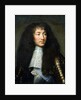 Portrait of Louis XIV, 1661-62 by Charles Le Brun