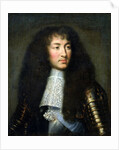 Portrait of Louis XIV, 1661-62 by Charles Le Brun