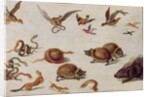 The Enemies of Snakes by Jan van the Elder Kessel