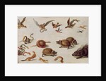 The Enemies of Snakes by Jan van the Elder Kessel