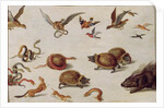 The Enemies of Snakes by Jan van the Elder Kessel