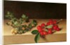 Fruit on the Table, 1644 by Francis Garnier