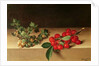 Fruit on the Table, 1644 by Francis Garnier