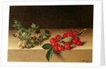 Fruit on the Table, 1644 by Francis Garnier