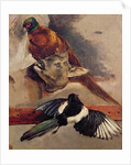 Still Life of Game, c.1812-16 by Theodore Gericault