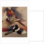 Still Life of Game, c.1812-16 by Theodore Gericault