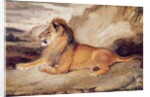 Lion Resting by Antoine Louis Barye