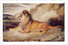 Lion Resting by Antoine Louis Barye