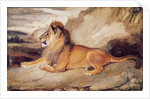 Lion Resting by Antoine Louis Barye
