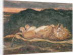 Lion Resting on his Back by Antoine Louis Barye